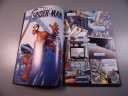 SPECTACULAR SPIDER-MAN 4/5 DK 20/2004