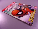 SPIDER-MAN 6. PECHOWY SZCZĘŚCIARZ 2009 r.